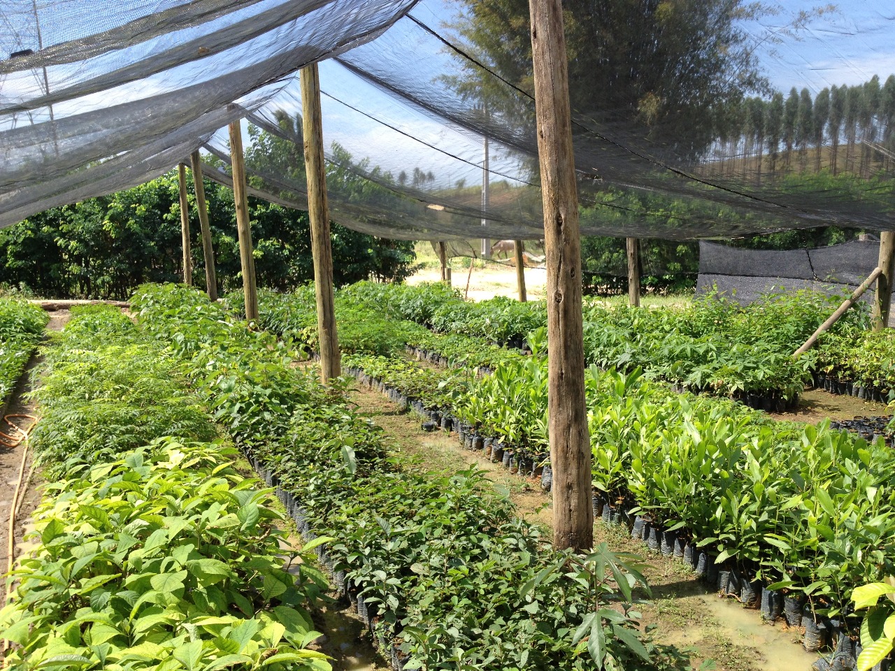 WhatsApp Image 2025-03-10 at 09.33.02.jpeg