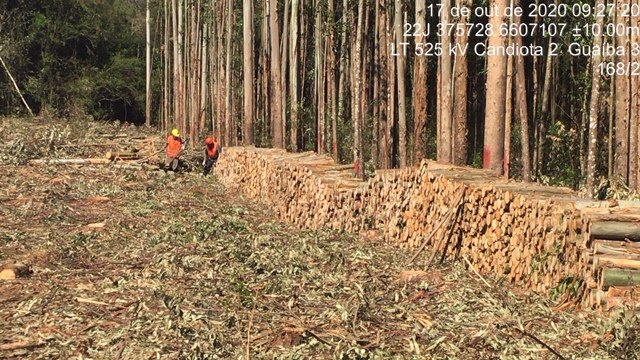 Supressão de vegetação Linha de Transmissão
