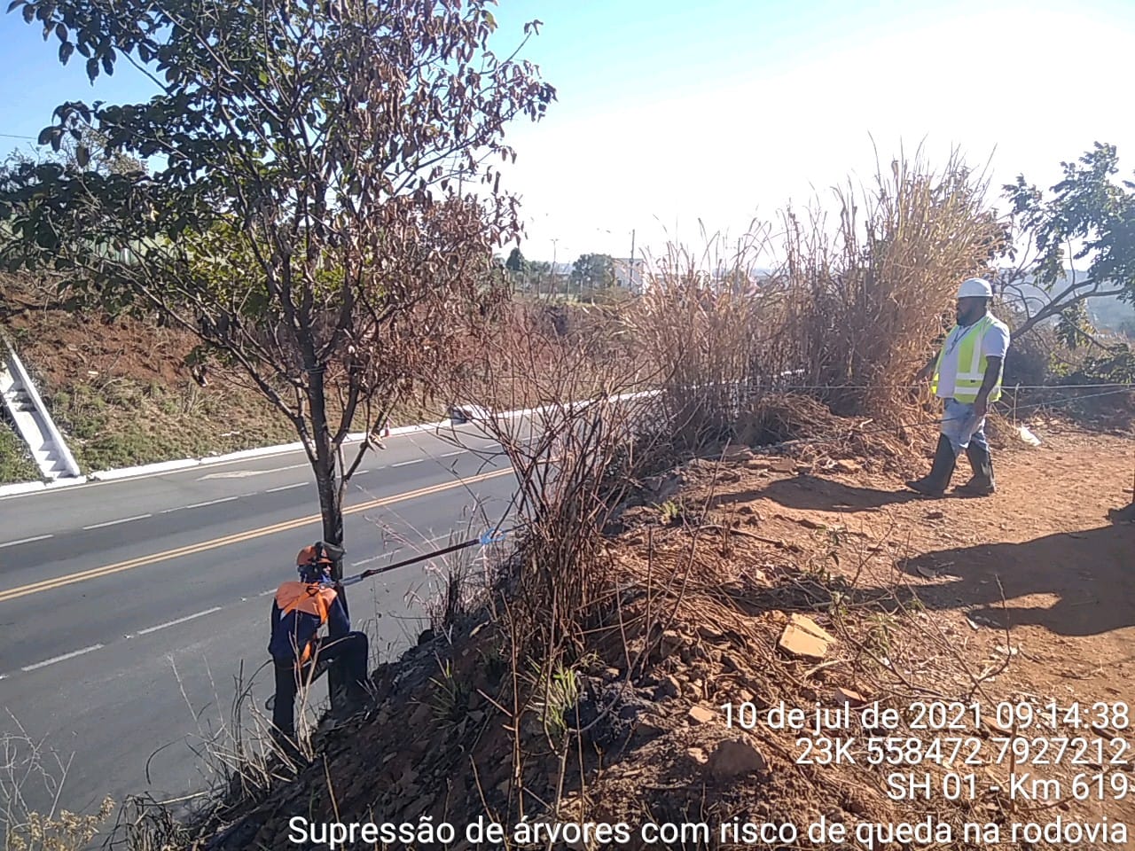 WhatsApp Image 2021-07-10 at 09.20.31.jpeg